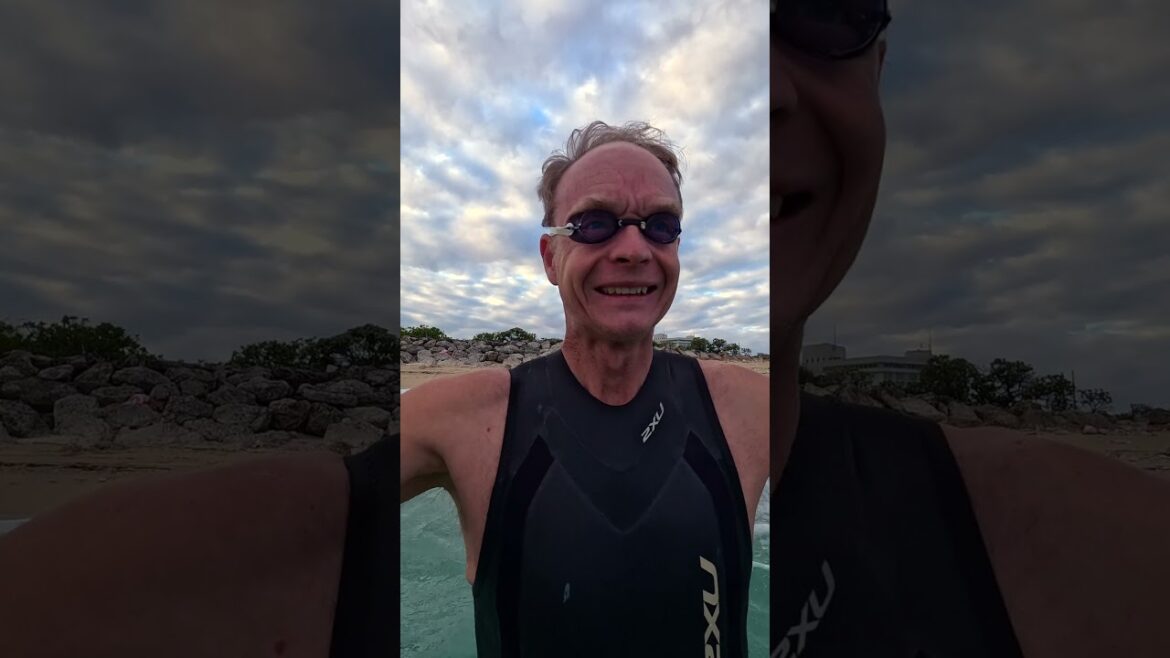 swim stories Feb 22nd 2025 #okinawa #openwaterswimming #winterswimming
