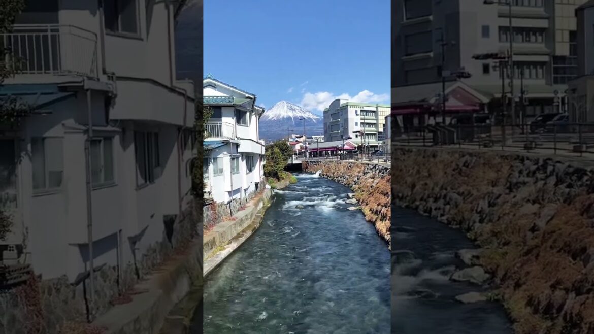 Scenic of Mount Fuji #mtfuji #shorts