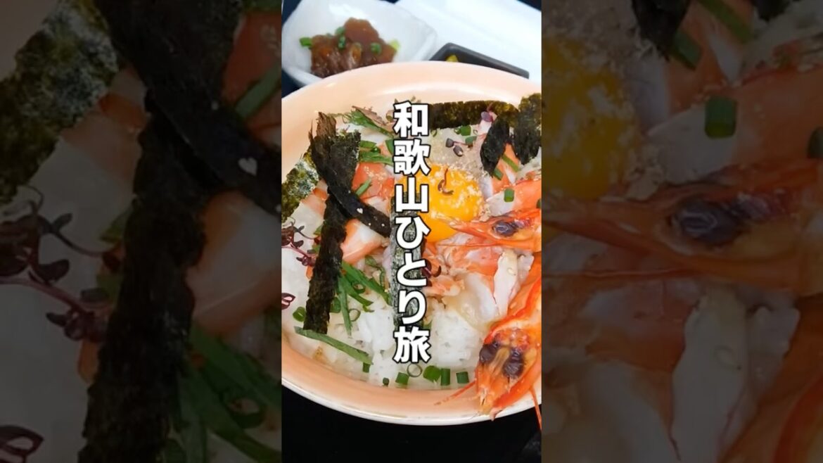 日本のアマルフィ に 日本100名城 ！一度は行くべき秘密の 絶景 ＆至高の ご当地グルメ 【 和歌山 ひとり旅 】 #ひとり旅 #和歌山 #ご当地グルメ