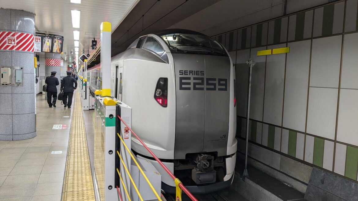 Fast & First Train from Narita Airport | Narita Express Green Sheat