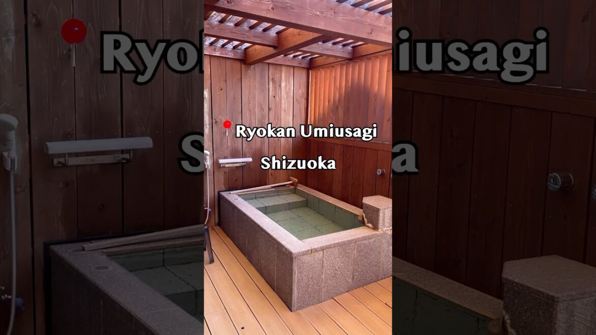 ♨️🐇Izu Onsen "Umiusagi" –  (伊豆温泉「海うさぎ」 – 静岡)