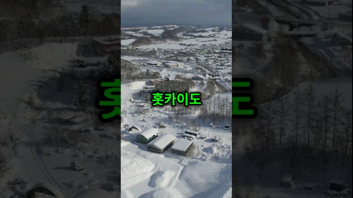 일본 홋카이도에서 꼭 먹어봐야 할 음식과 명소를 소개합니다! #RTMZ8