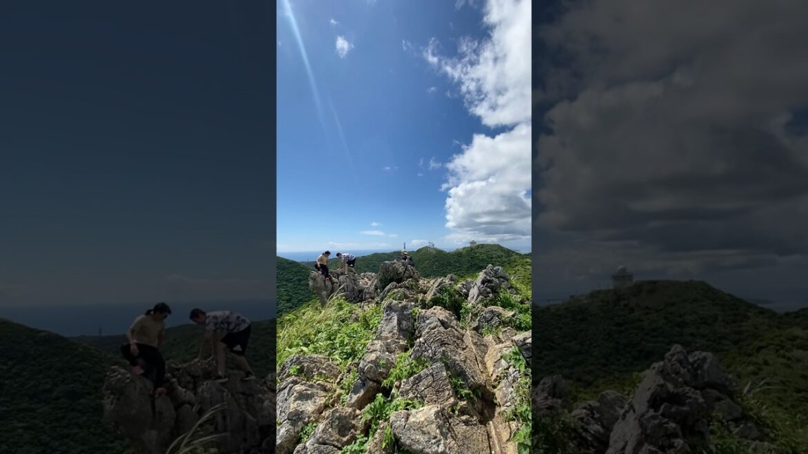On top of the world 🌎 Mount Katsuu #shorts #travel #japan