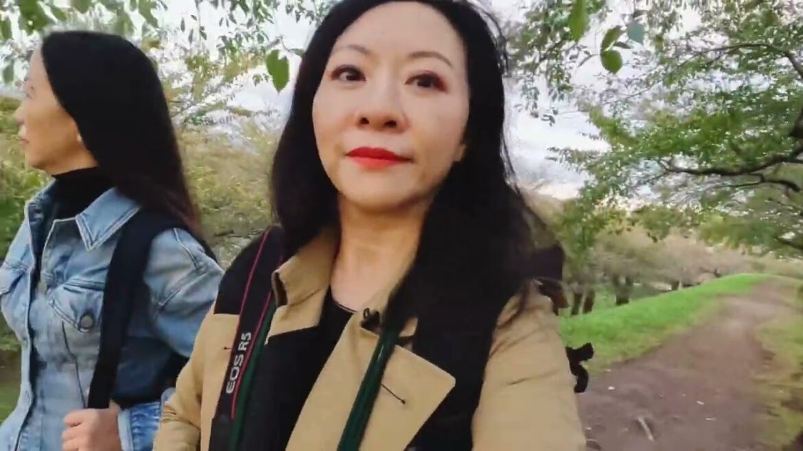 Heading to Hakodate, Hokkaido, Japan