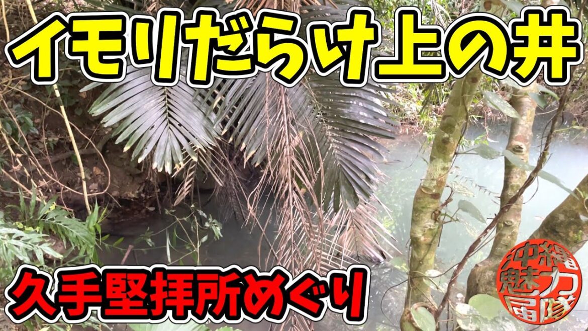 【久手堅拝所めぐり】イモリだらけの上の井！久手堅船溜・前ぬ浜の久手堅ビーチ・久手堅竜宮神・鍛冶屋ガマ・汲井・久手堅の大アカギ・久手堅根人田・イーヌカー！そして謎の階段を・・・