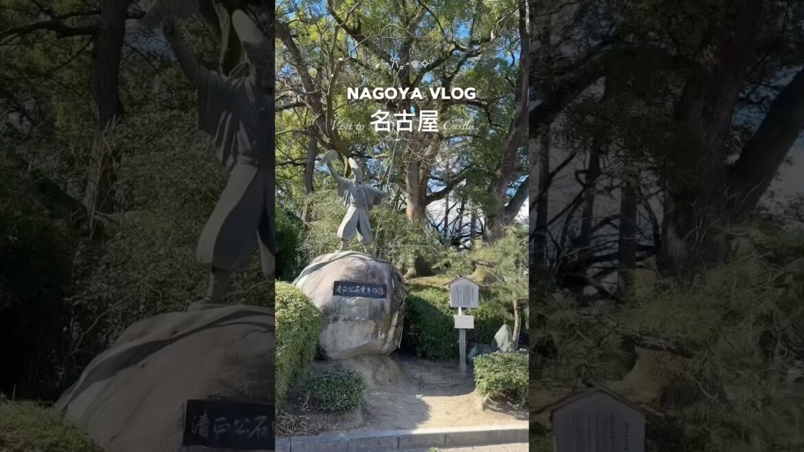 Nagoya Castle 🏰|| #travel #shorts #ytshorts #nagoyajapan #nagoya #japanculture