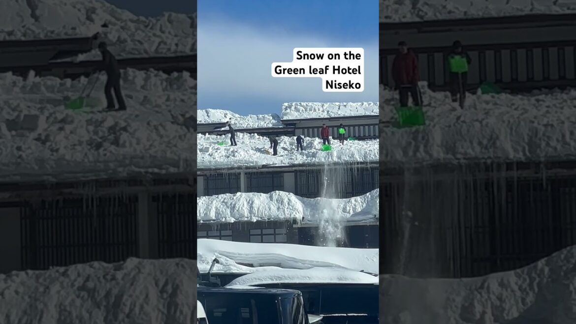 Snow removal from hotel roof  #hokkaido #japan #niseko #Nisekohotels #greenleafhotelniseko #snow