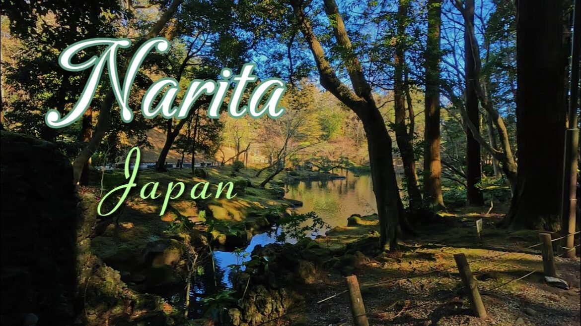 Narita in Japan