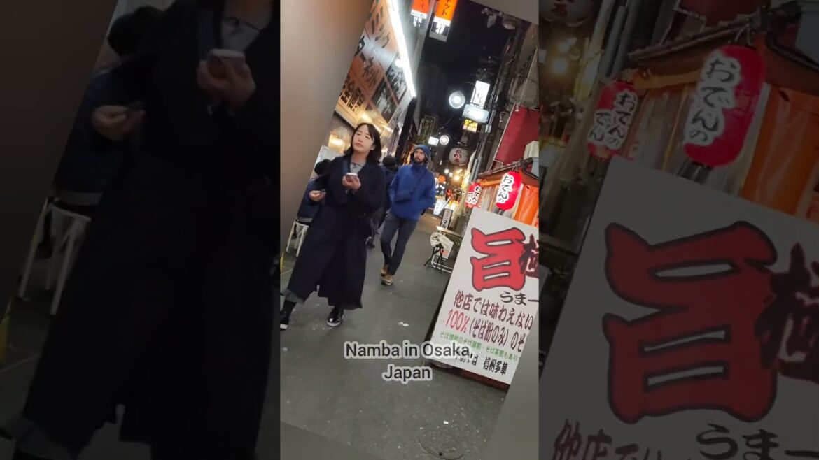 Nambaក្នុងទីក្រុងអូសាកា/Namba in Osaka, Japan#asiantravel #travel #japantravel #walking