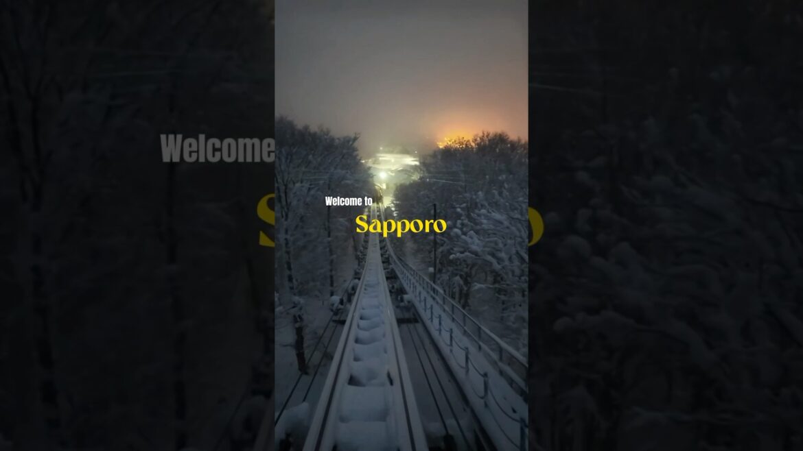 Memories from Sapporo 🇯🇵 #travel #traveldestinations #snow #japan
