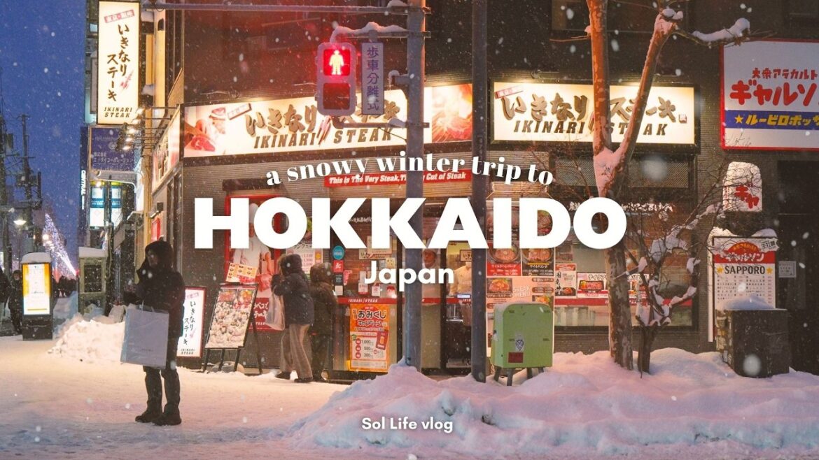A Snowy Winter Trip to Hokkaido | 10-Day Itinerary in Sapporo, Otaru, Asahikawa & Biei | JAPAN VLOG A Snowy Winter Trip to Hokkaido | 10-Day Itinerary in Sapporo, Otaru, Asahikawa & Biei | JAPAN VLOG