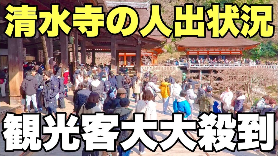 【4K】2025年2月23日（日）京都清水寺の人出状況。観光客大大殺到！京都清水寺的人群狀況。大量遊客湧入！Kiyomizu-dera Temple, Kyoto japan.