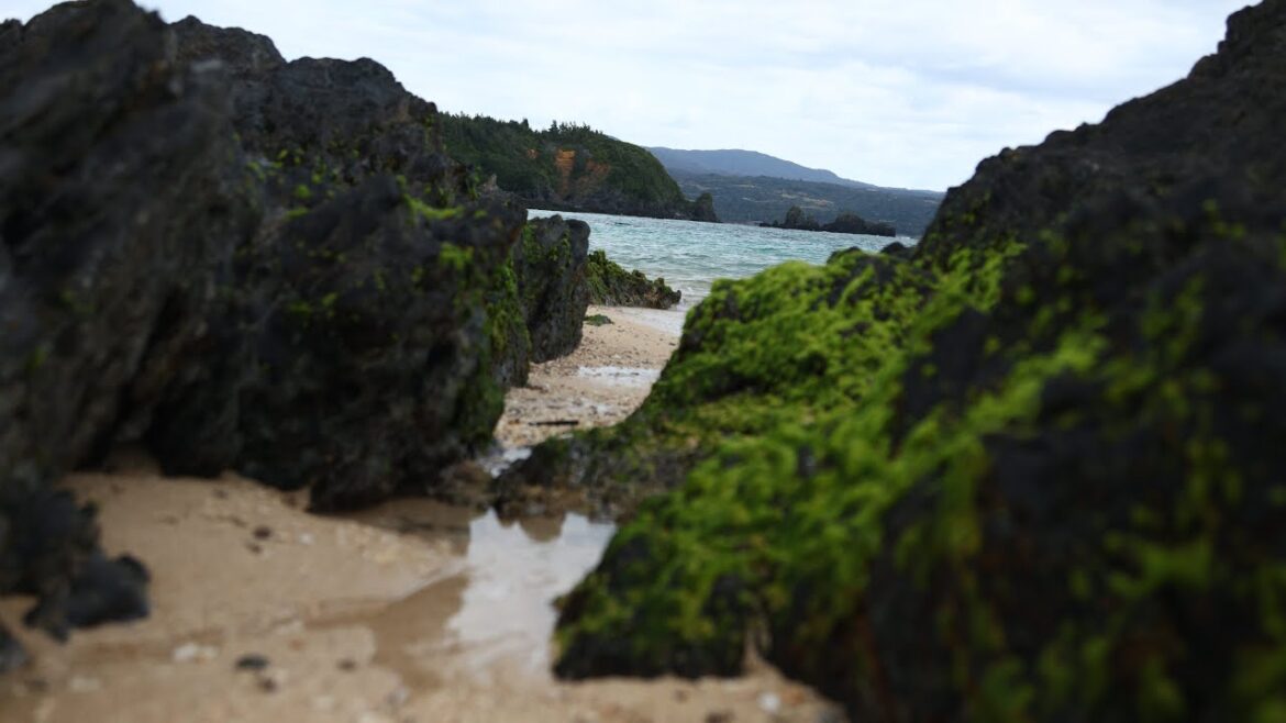 Unforgettable Okinawa Road Trip Explore Japan’s Tropical Paradise Unforgettable Okinawa Road Trip Explore Japan's Tropical Paradise