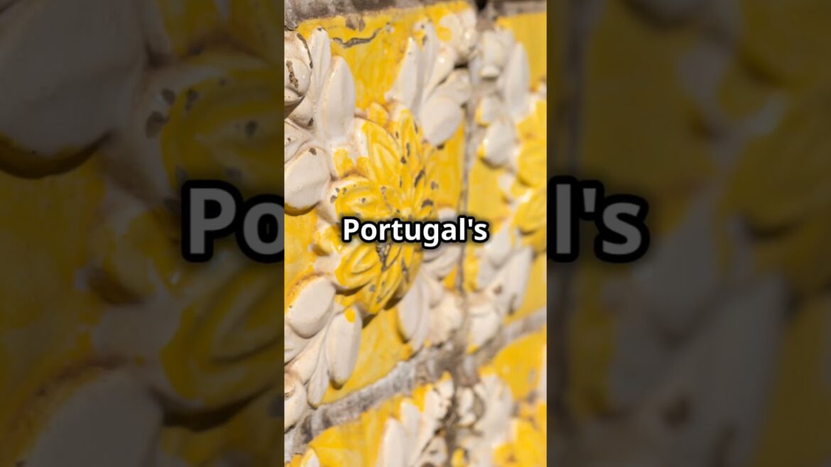 Porto hidden gems😱 #facts #wondersoftheworld #traveldestinations #information #travel