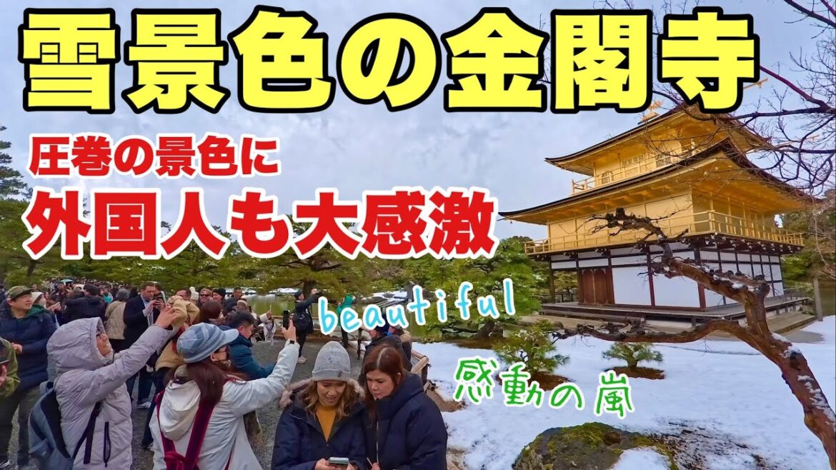 【4K】2025年2月24日（月祝）雪景色の京都金閣寺。圧巻の景色に外国人も大感激！京都金閣寺雪景令人印象深刻！ scene at Kinkakuji Temple in Kyoto.