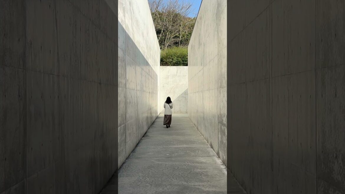 Lee Ufan Museum , designed by Tadao ANDO [ Japanese Architecture Tour Short Vlog ] building 李禹煥美術館