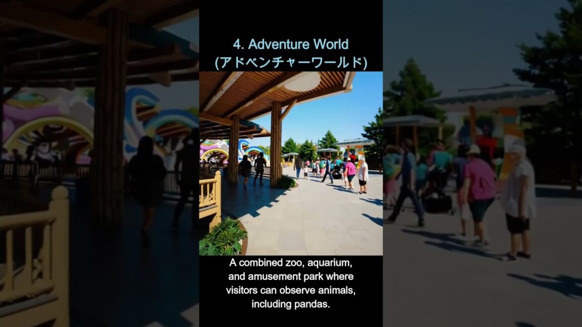 Wakayama-shi - Wakayama-ken - Japan Trip