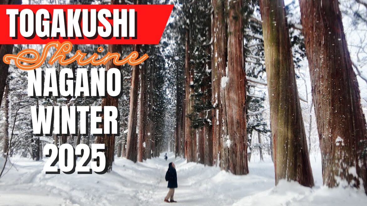 TOGAKUSHI in Winter: A Hike to Nagano's Hidden Shrine