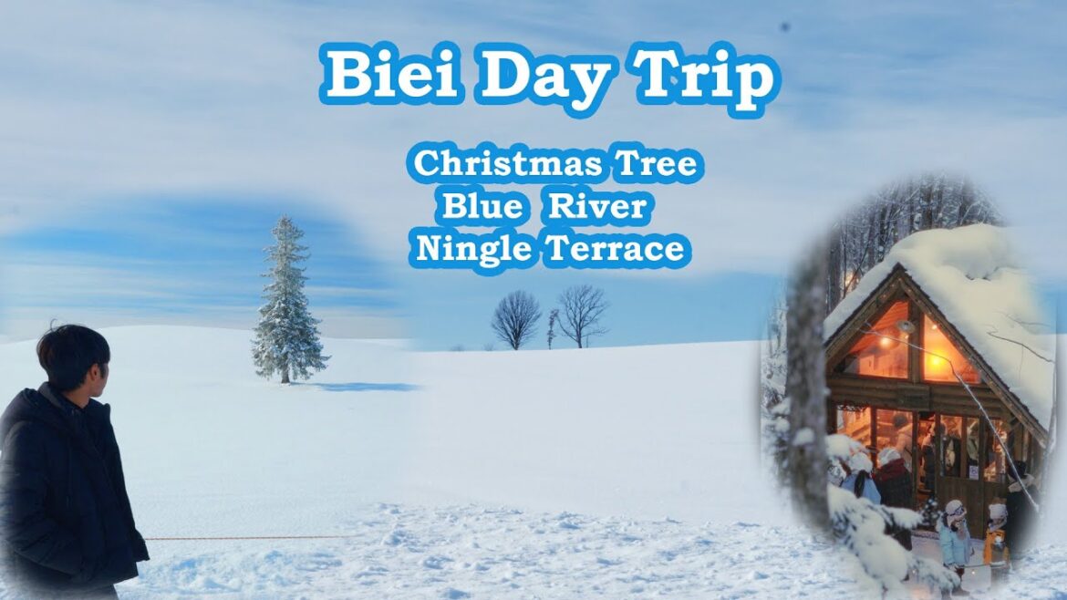 🎄"Biei Christmas Tree & Ningle Terrace – ดินแดนหิมะสุดโรแมนติก! ❄️"]   #biei  #NingleTerraceHokkaido