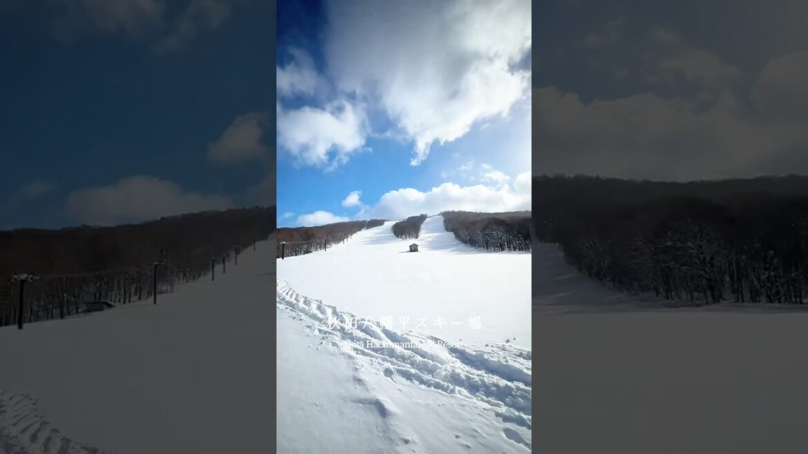 国立公園で大自然に囲まれながら楽しむスノースポーツ⛷️