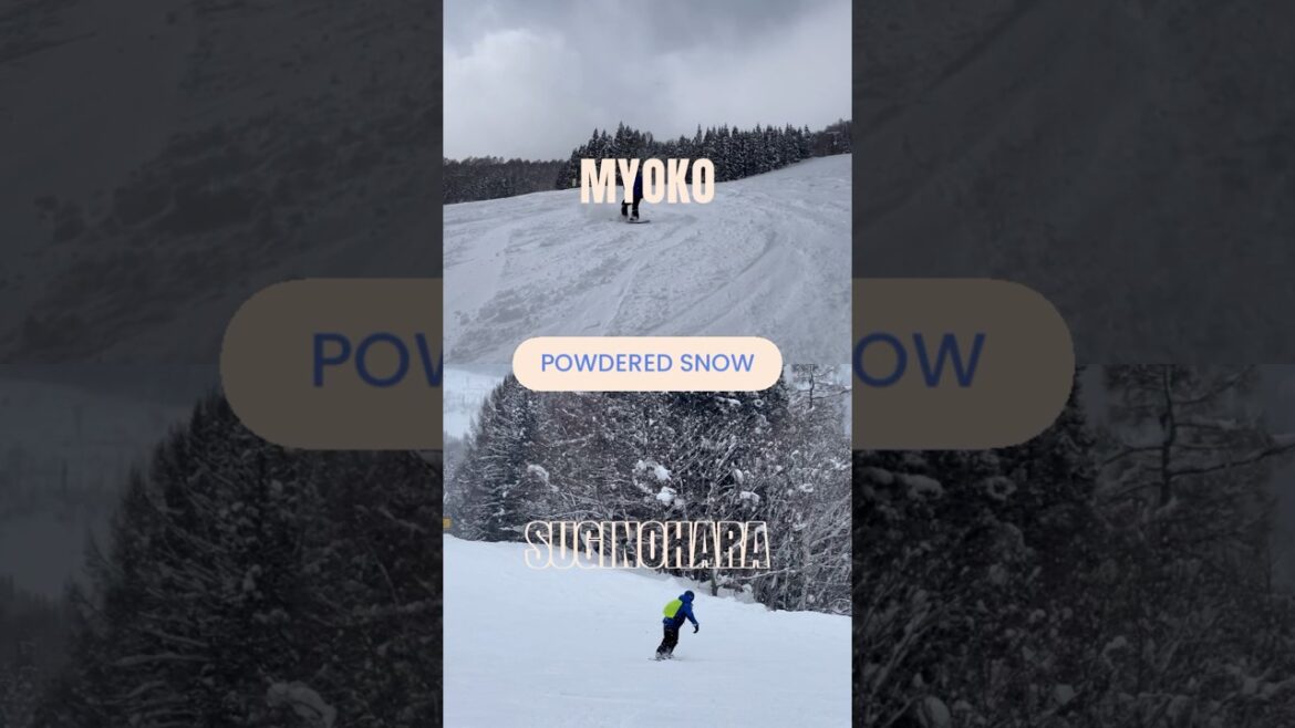 Powdered Snow iMYOKO Niigata #japan #travel #snowboarding #myoko #suginohara #snow #winter #niigata