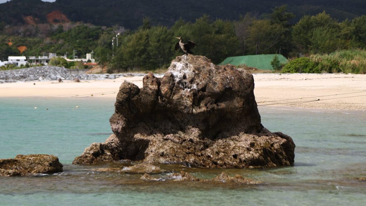 Ultimate Guide to an Unforgettable Road Trip in Okinawa, Japan Ultimate Guide to an Unforgettable Road Trip in Okinawa, Japan