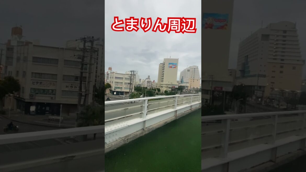 沖縄、とまりん周辺の雰囲気 #那覇 #沖縄旅行