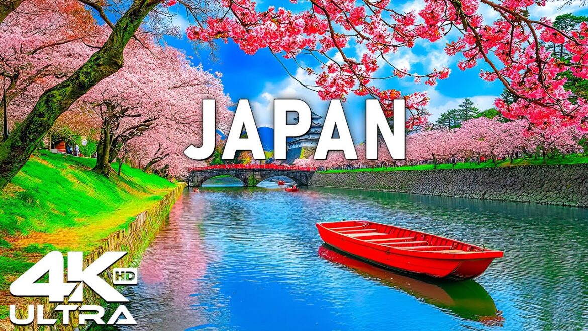 WONDERS OF JAPAN 🌎The Most Unbelievable Places In Japan ☀️ Discover Its Magic! WONDERS OF JAPAN 🌎The Most Unbelievable Places In Japan ☀️ Discover Its Magic!
