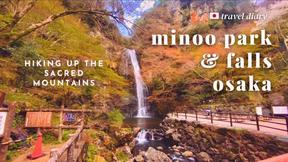 Hiking up Osaka’s hidden gem: Minoo Park & Falls | Japan π―π΅ pt. 8 Hiking up Osaka's hidden gem: Minoo Park & Falls | Japan π―π΅ pt. 8