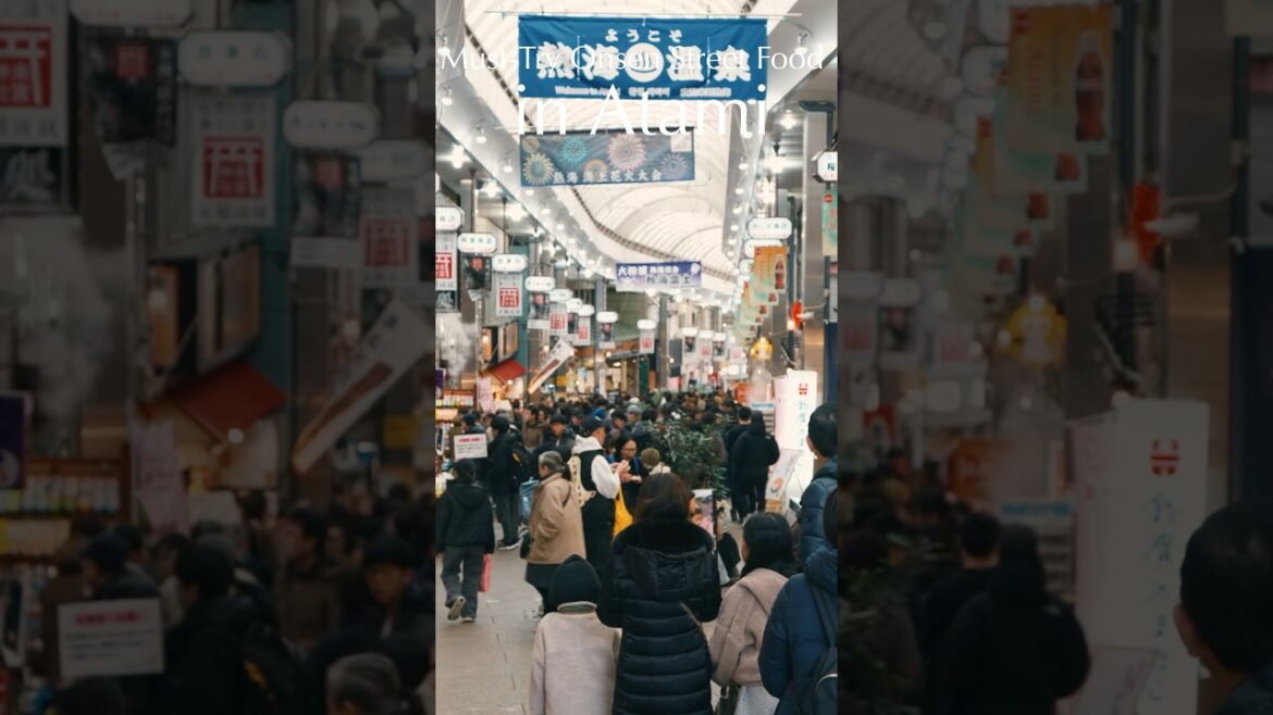 Atami Japan Travel Vlog