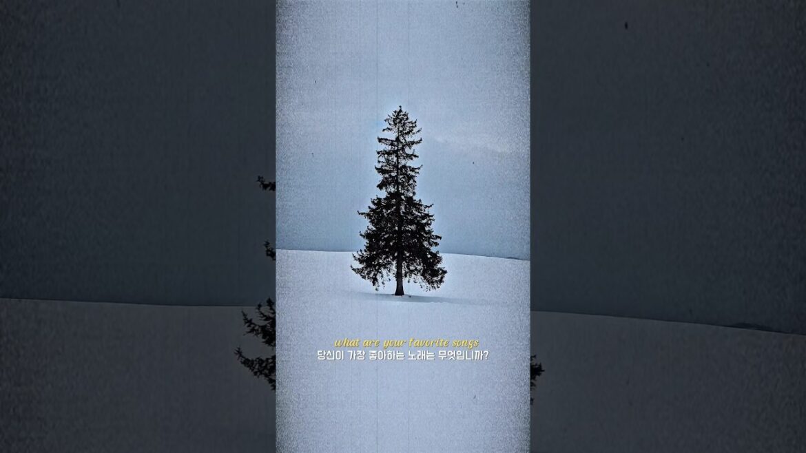 멋따라 낭만따라 삿포로따라 #삿포로여행 #여행릴스