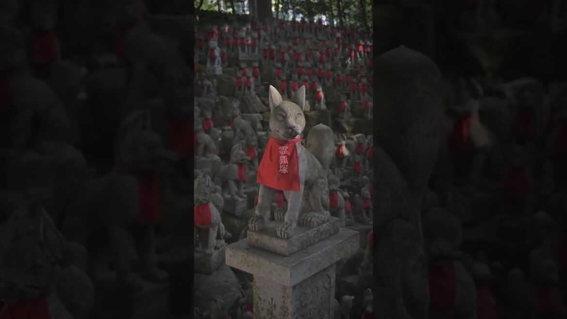 Kunjungi Kuil Toyokawa Inari, Aichi, untuk doa berkat bisnis, keluarga, dan perjalanan aman. 🌟 Kunjungi Kuil Toyokawa Inari, Aichi, untuk doa berkat bisnis, keluarga, dan perjalanan aman. 🌟