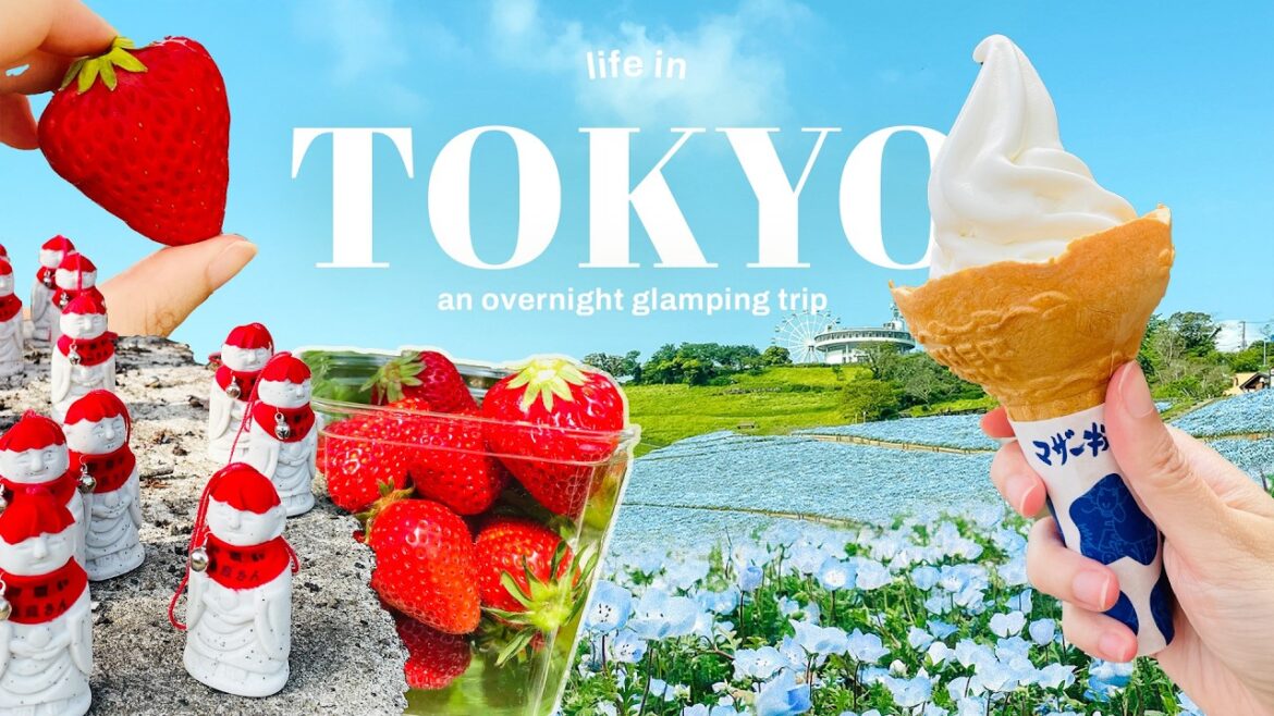 Overnight trip to Chiba, Japan ⛰️🇯🇵 (glamping, flower fields and hiking) Cinematic travel vlog