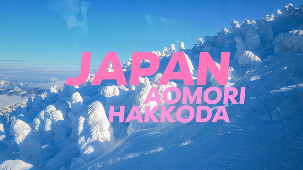 겨울 일본 소도시 여행ㅣ핫코다산 스노우몬스터ㅣ아오모리ㅣ호시노리조트ㅣ필름여행사진 film photographyㅣep.02