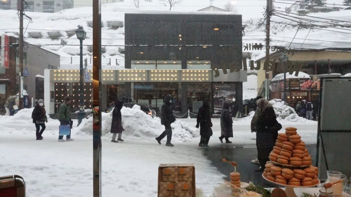 홋카이도(영상편)/비에이-소운쿄-오타루-삿포르