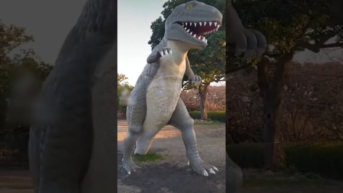 #dinosaur square at #sakurajima #kagoshima #japan
