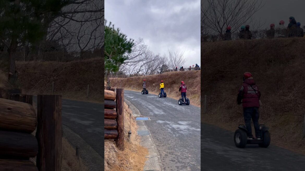 mishima sky walk outdoor activities #outdoors #japan #automobile