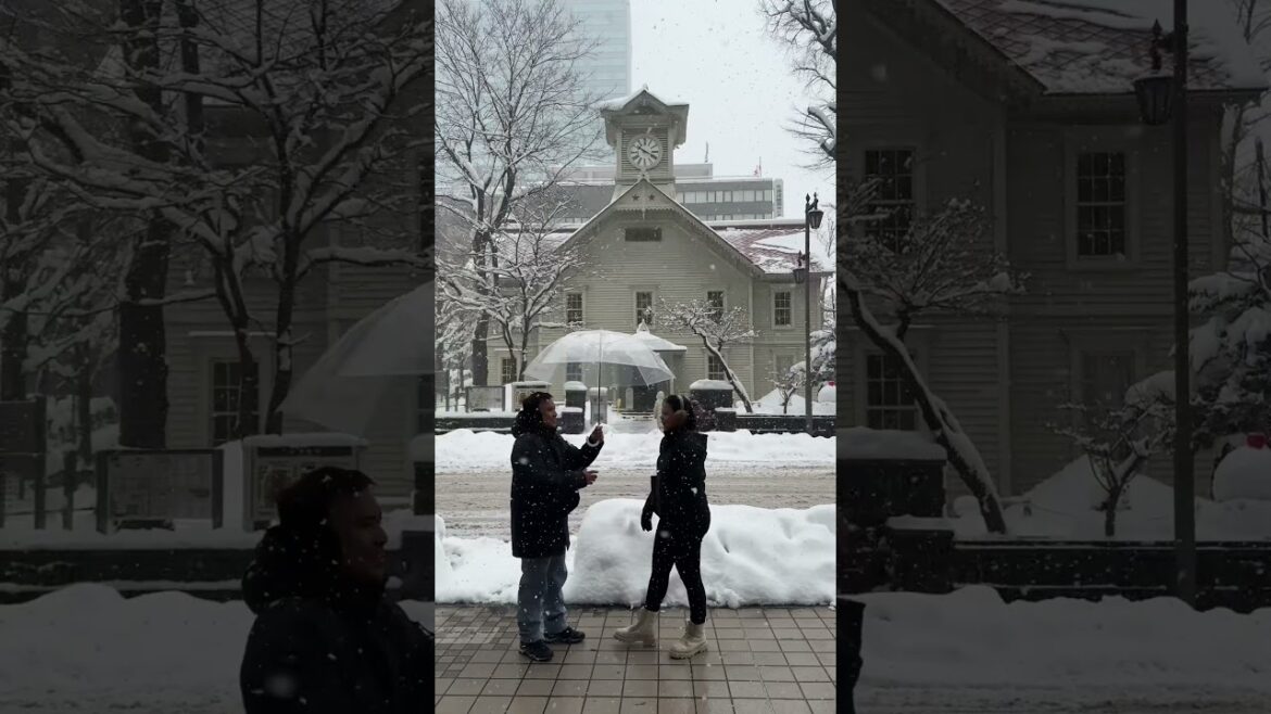 Watch our Sapporo/Hokkaido Series now on our channel  #sapporo #hokkaido #japan2025 #annengandiam