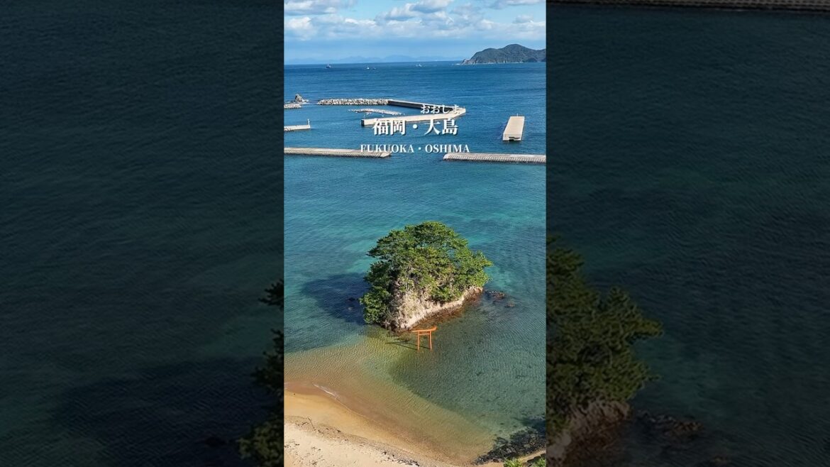 九州の行くべき離島6選 #離島 #島じかん #島ぐらし