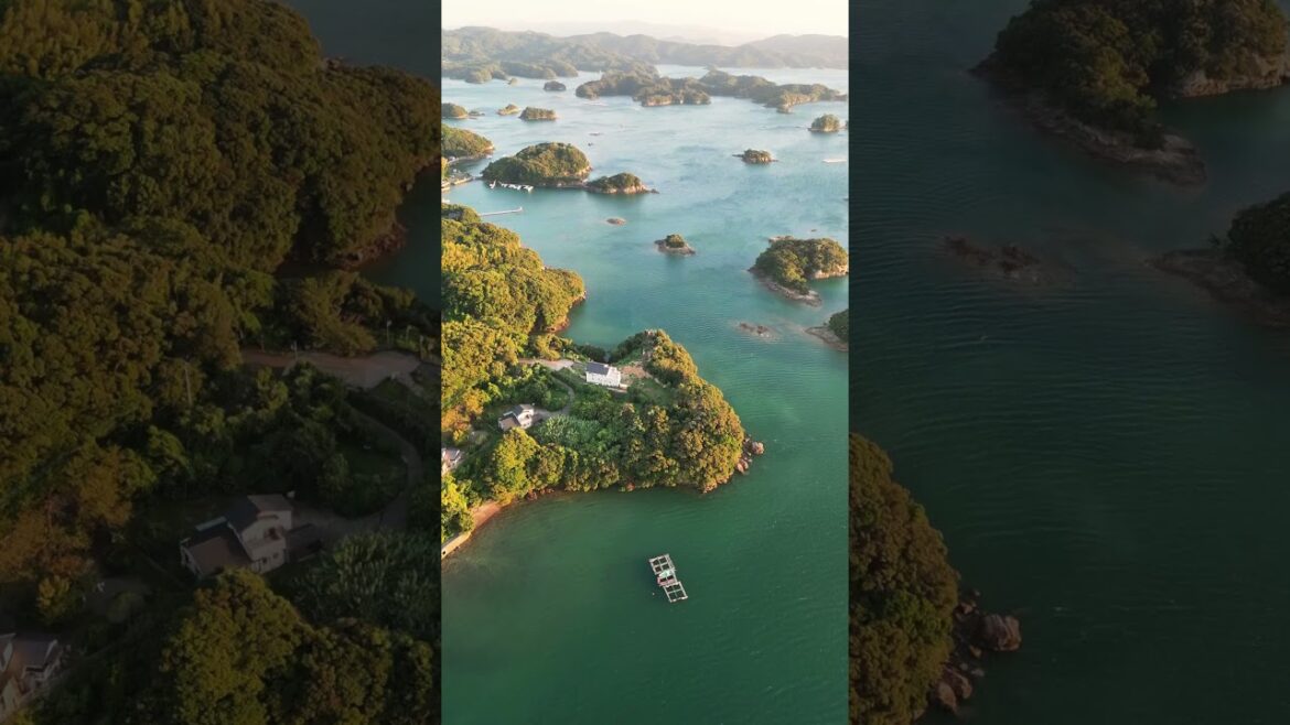 Explore Japan 2025: Tokyo, Kyoto, Osaka & Culinary Delights #JapanTravel #CherryBlossom Explore Japan 2025: Tokyo, Kyoto, Osaka & Culinary Delights #JapanTravel #CherryBlossom