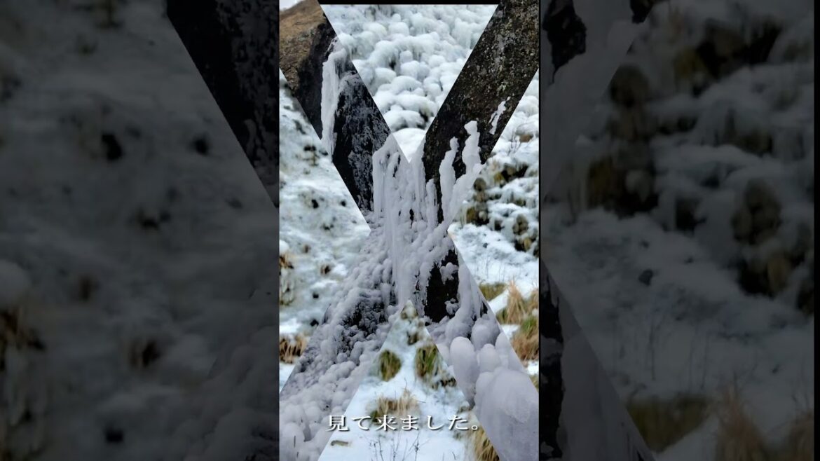 角田山の氷瀑！新潟でも見れるんだ！