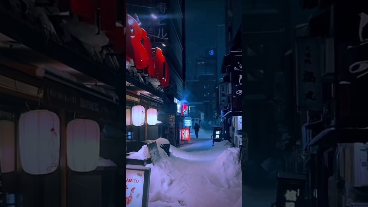 Sapporo (Hokkaido) #travel #japan #japantravel #japanvlog #sapporo #hokkaido #fyp #calm #fypshorts
