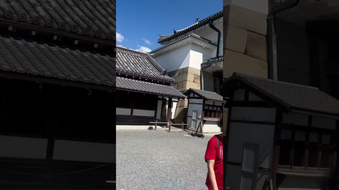 【KYOTO】Must-See Tourist Attraction - Nijo Castle