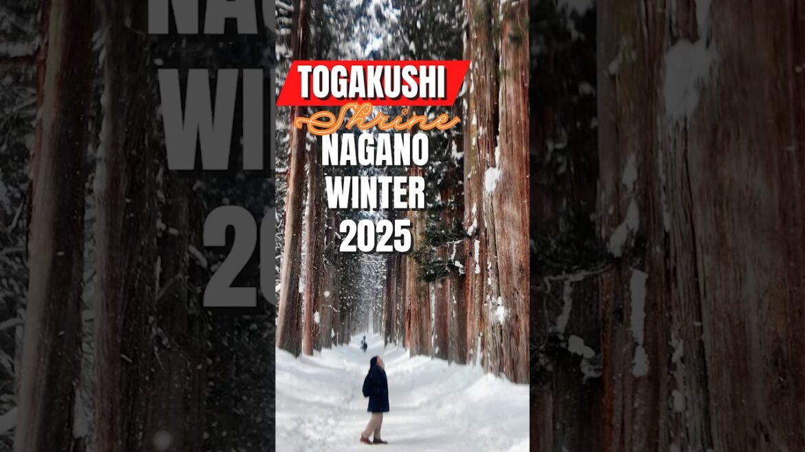 Togakushi Shrine Snow Hike