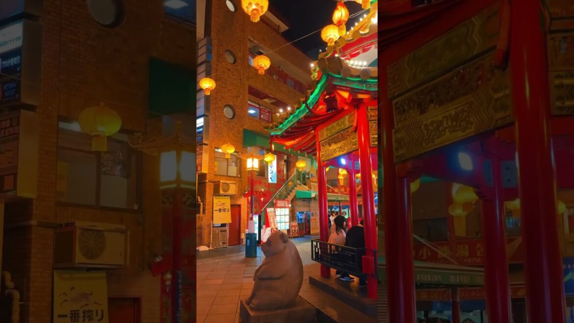 Nankinmachi / 南京町 #travel #旅行 #visitjapan #観光 #japan #japantravel #kobe #sannomiya #神戸