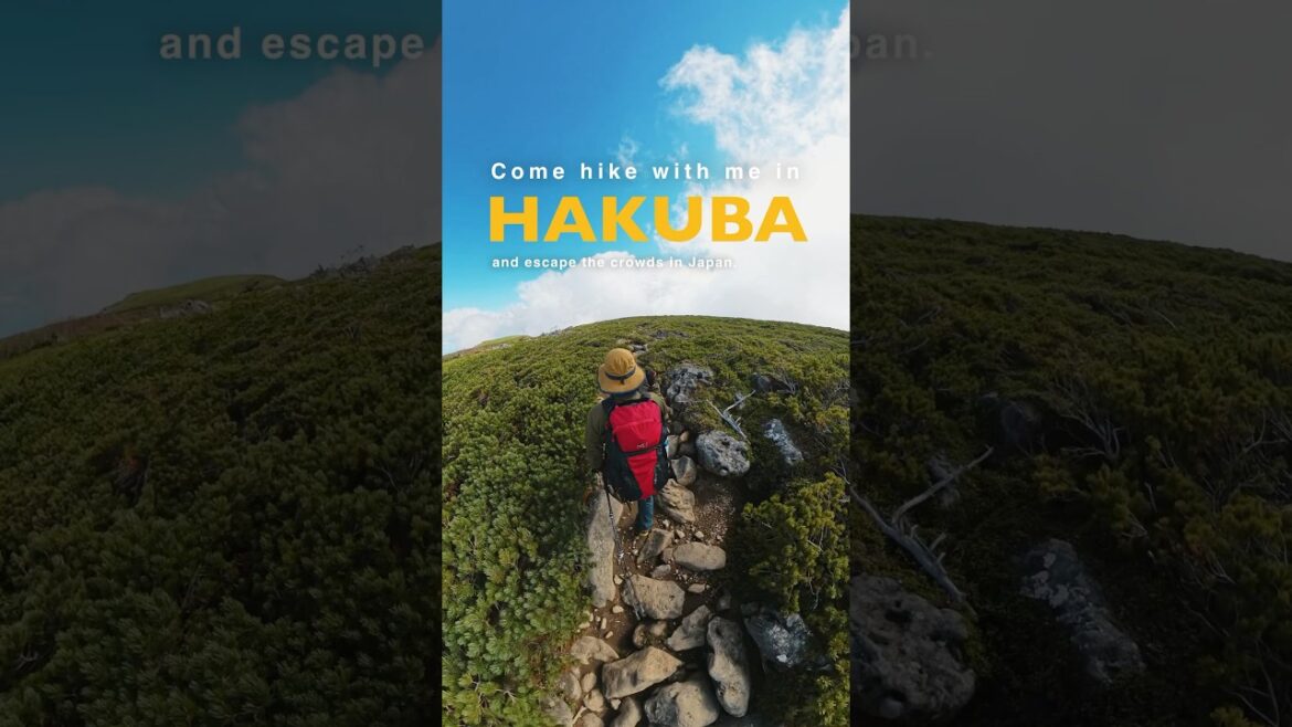 Escape the cloud in Japan｜JNTO