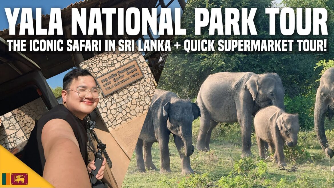 EXPLORING SRI LANKAβS TOP SAFARI PARK + LOCAL SUPERMARKET VISIT! π±π° | Ivan de Guzman EXPLORING SRI LANKAβS TOP SAFARI PARK + LOCAL SUPERMARKET VISIT! π±π° | Ivan de Guzman