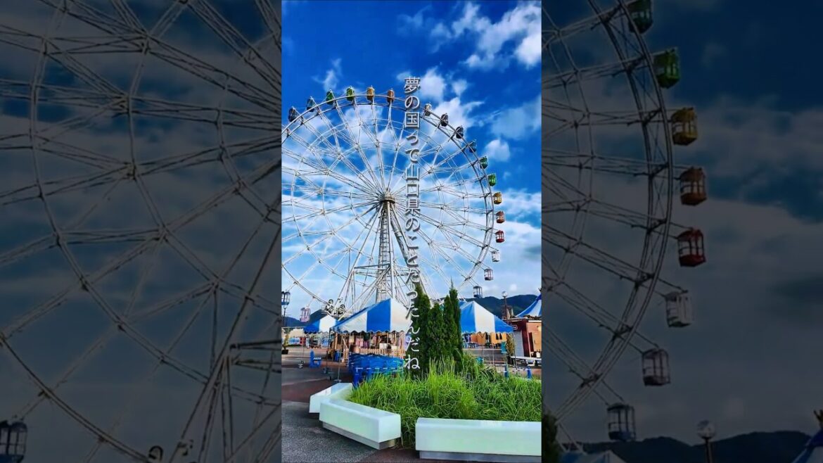 人間の欲を全て満たしてくれる夢の水族館があるって知ってる？#shorts #水族館 #旅行 #海響館