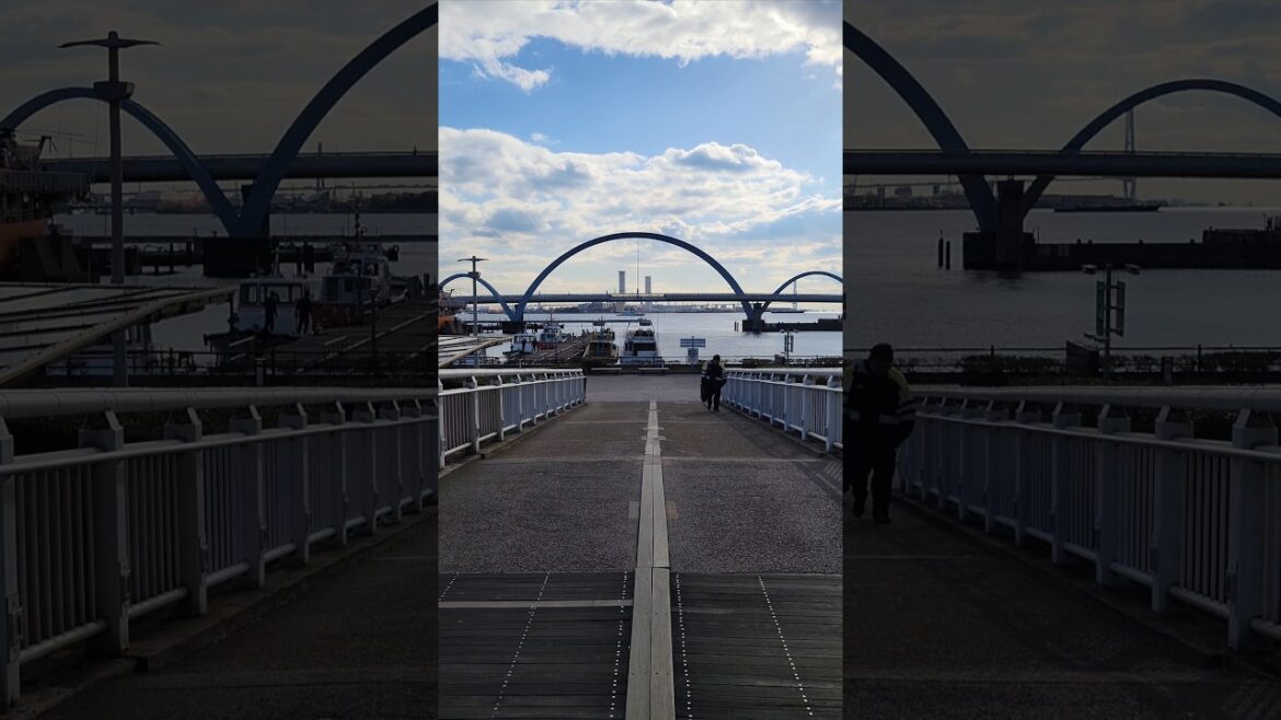 Beautiful Japan 🇯🇵