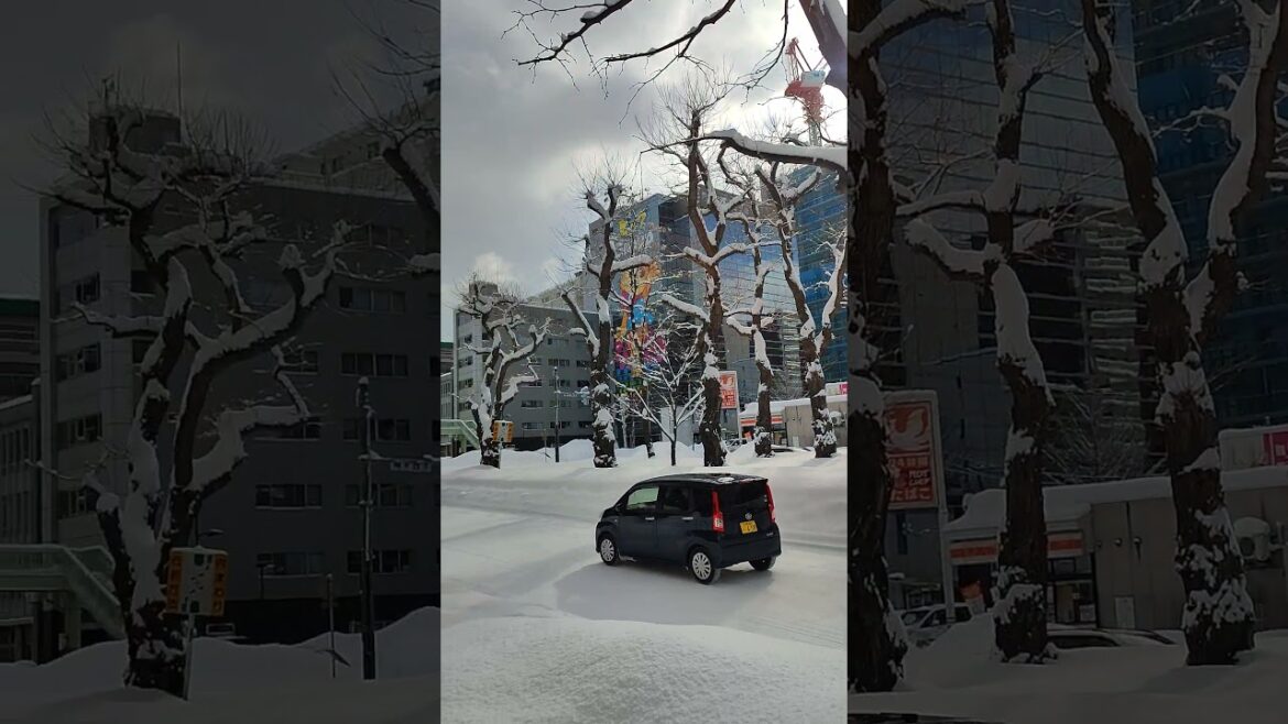 Snowy Day in Sapporo city Japan #japan #sapporo #snow